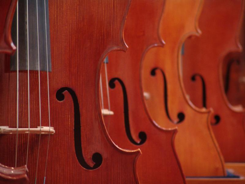 Violinen (Symbolfoto)