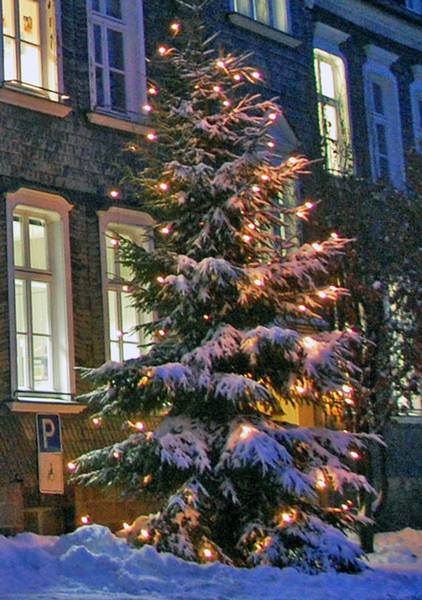 Weihnachtsbaum vor dem Waldbröler Rathaus